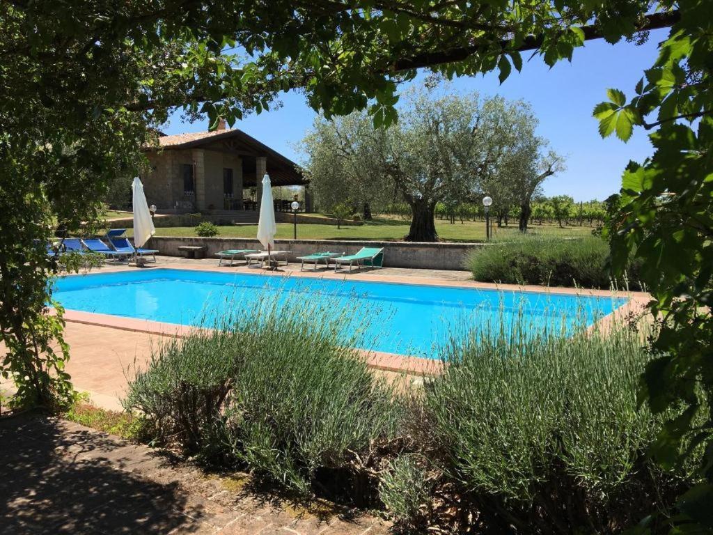 Agriturismo Eco-Bio Villa Vacasio Pitigliano Kültér fotó