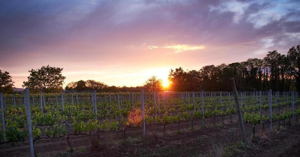 Agriturismo Eco-Bio Villa Vacasio Pitigliano Kültér fotó