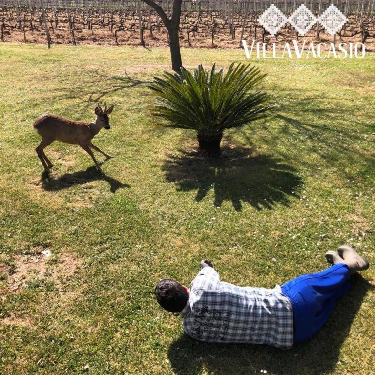 Agriturismo Eco-Bio Villa Vacasio Pitigliano Kültér fotó